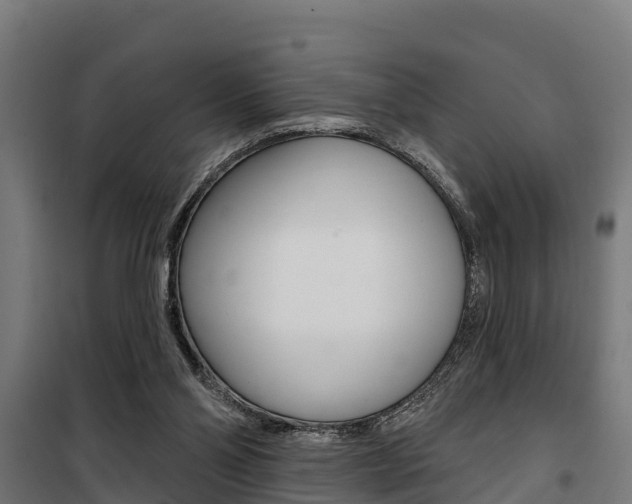 X0000100750110200806190833