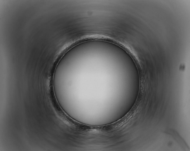 X0000100750111200806190833