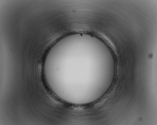 X0000100750113200806190833