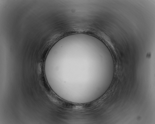 X0000100750114200806190833