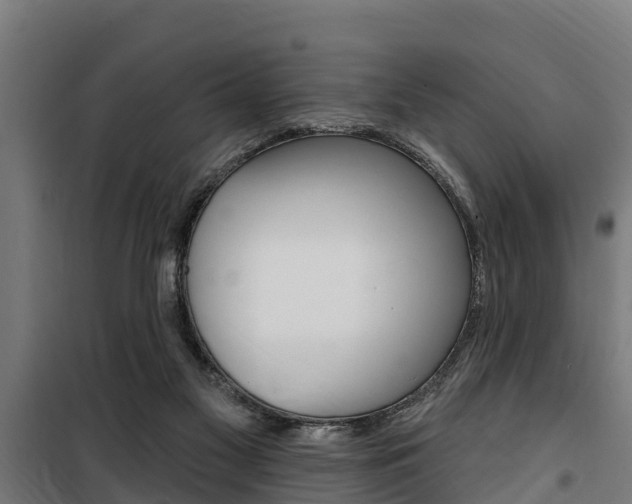 X0000100750117200806190833