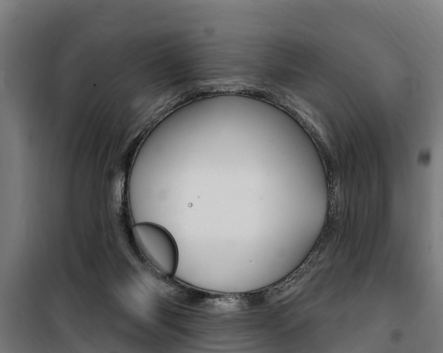 X0000100750118200806190833