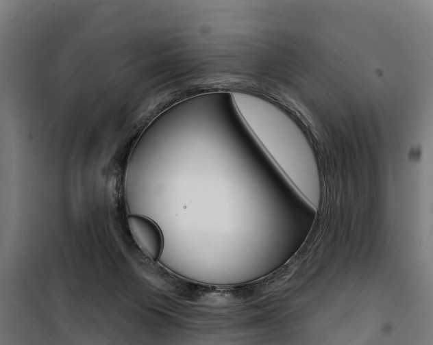 X0000100750119200806190833