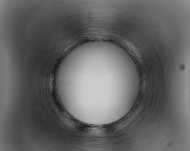 X0000100750121200806190832