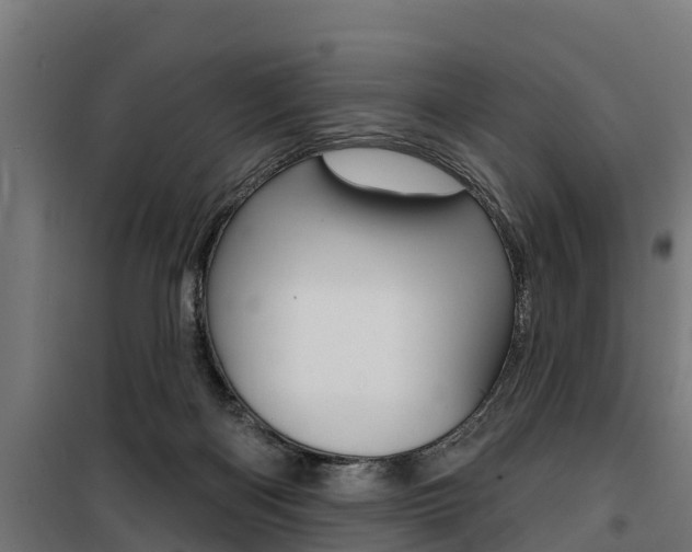X0000100750122200806190832