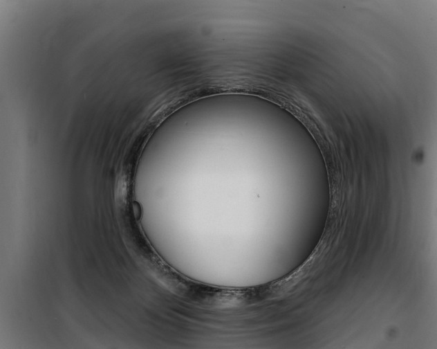 X0000100750124200806190832