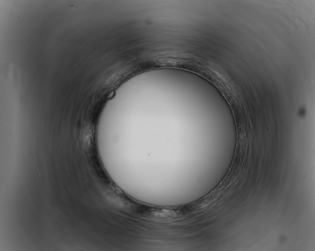 X0000100750125200806190832