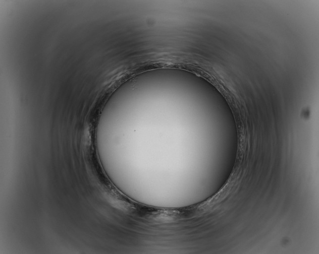 X0000100750128200806190832