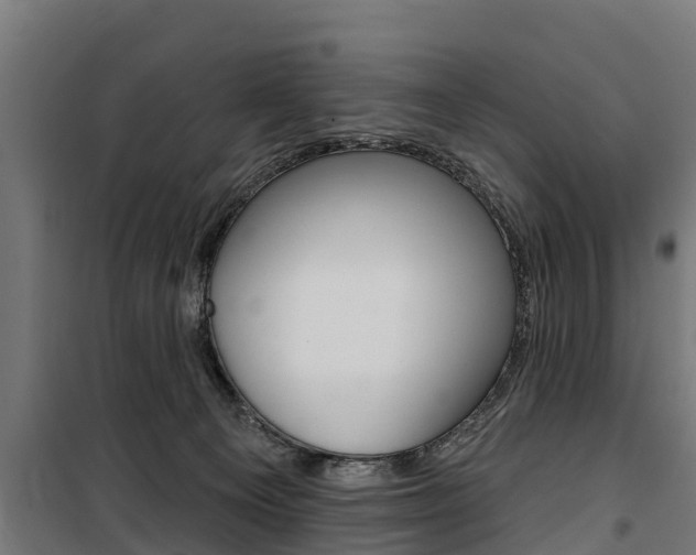X0000100750129200806190832