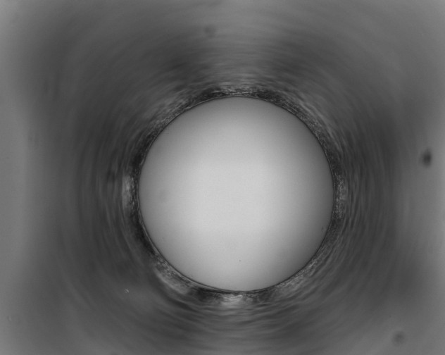X0000100750130200806190832