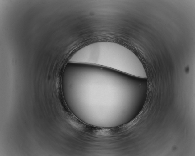 X0000100750132200806190832