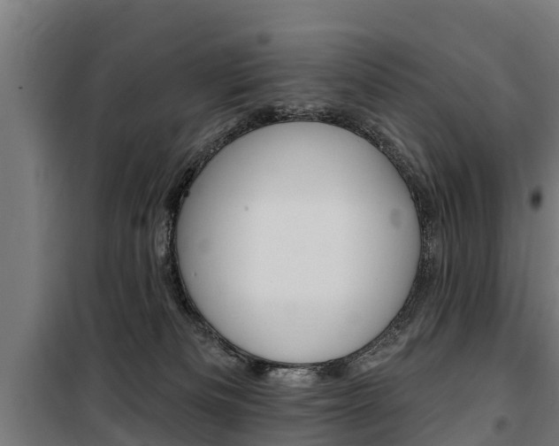 X0000100750133200806190832