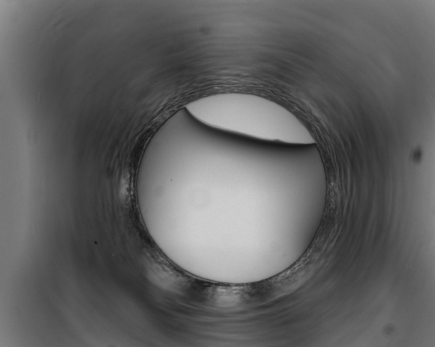X0000100750134200806190832