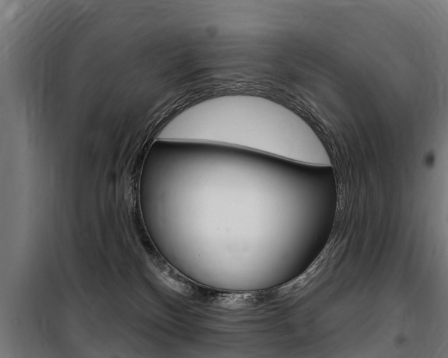 X0000100750136200806190832
