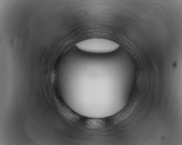 X0000100750137200806190832