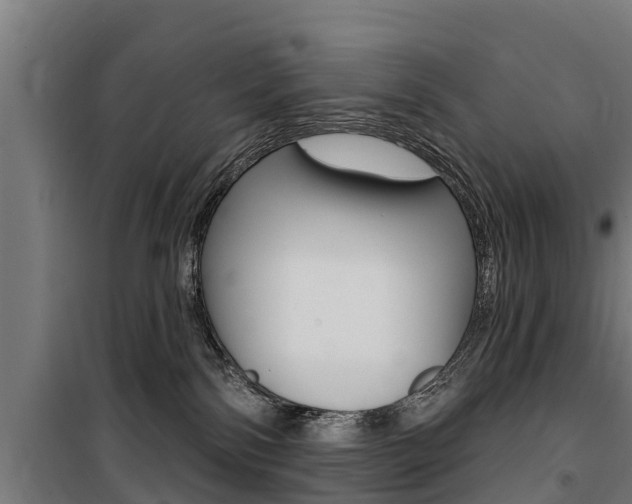 X0000100750138200806190832