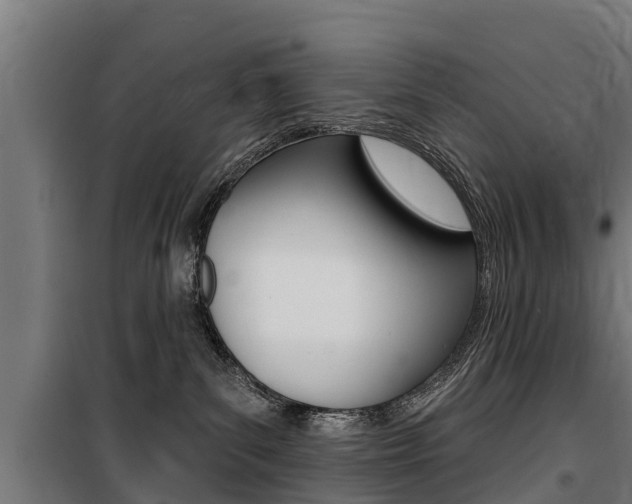 X0000100750139200806190832