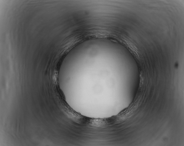X0000100750141200806190832