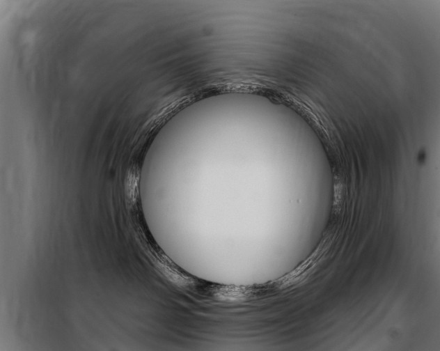 X0000100750142200806190832