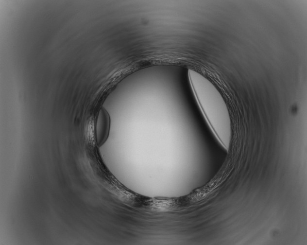 X0000100750143200806190832