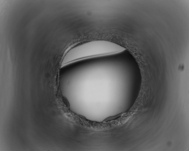 X0000100750144200806190832