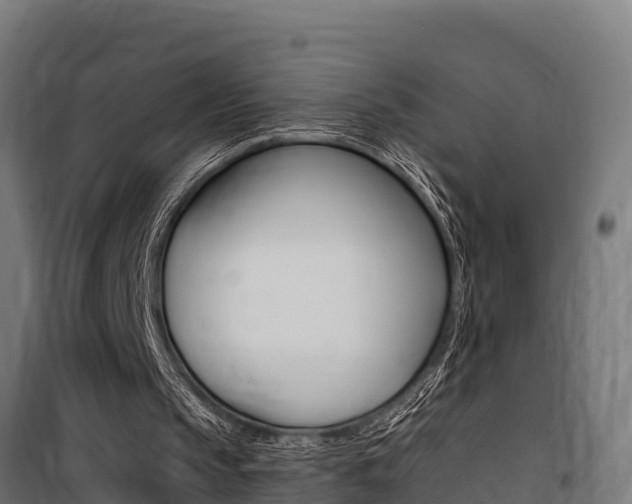 X0000100750145200806190831
