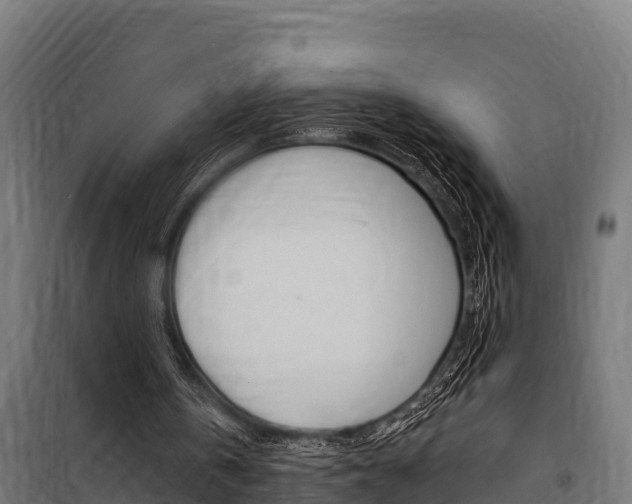 X0000100750146200806190831