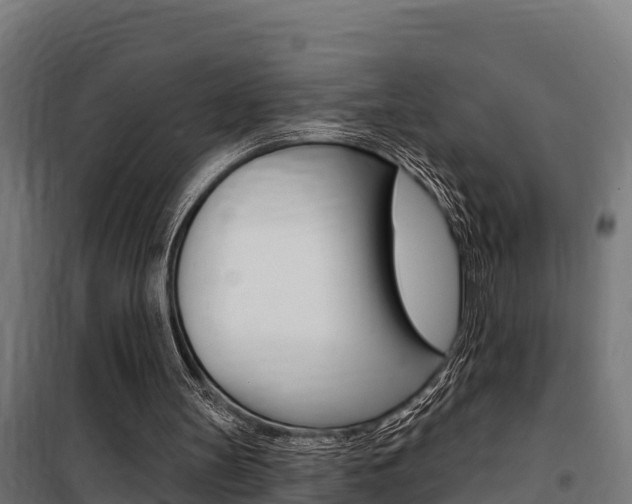 X0000100750147200806190831
