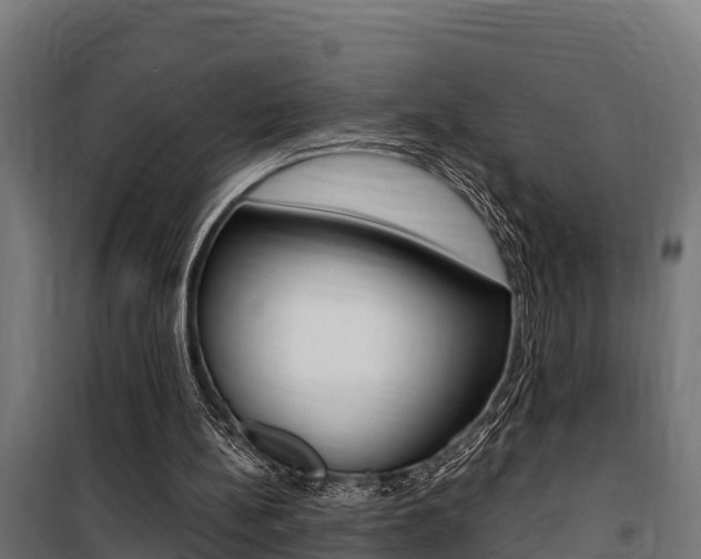 X0000100750148200806190831