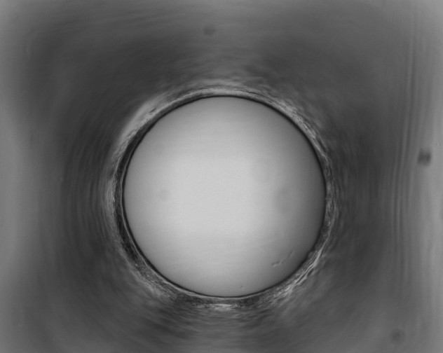 X0000100750151200806190831