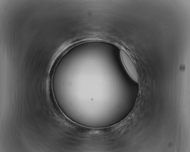 X0000100750152200806190831