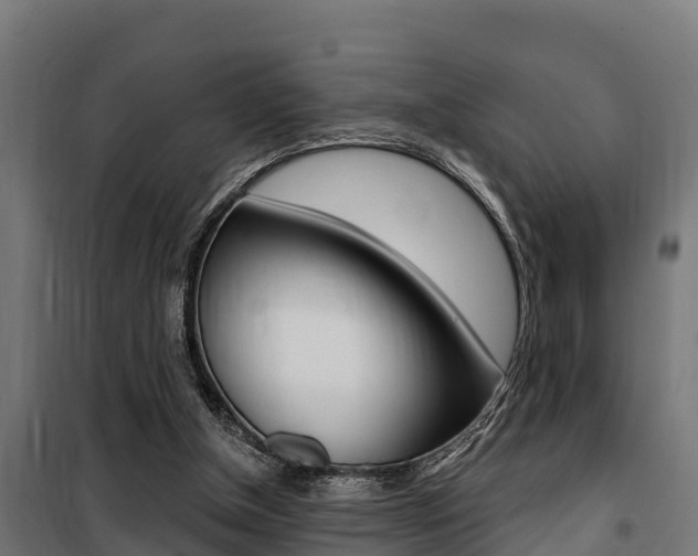X0000100750154200806190831