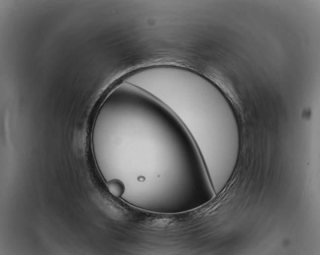 X0000100750156200806190831