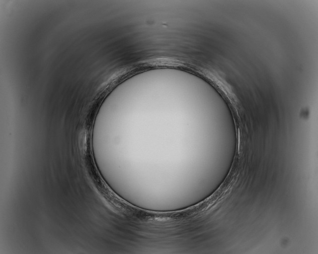 X0000100750157200806190831