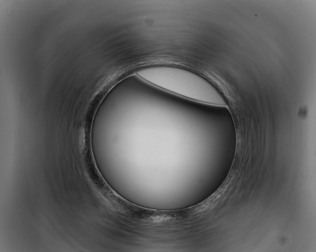 X0000100750158200806190831