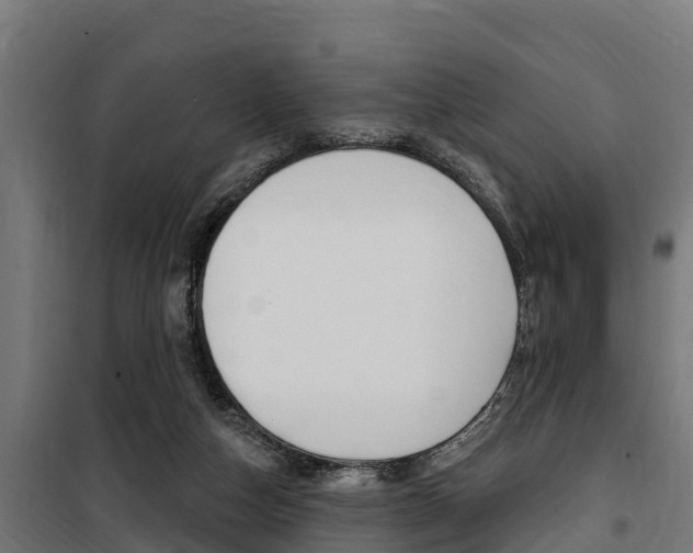 X0000100750162200806190831