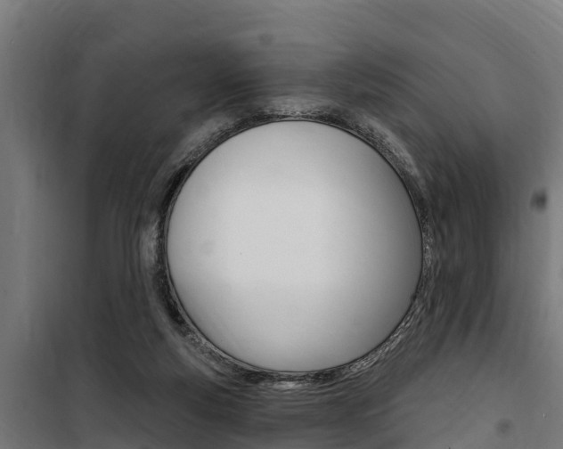 X0000100750163200806190831