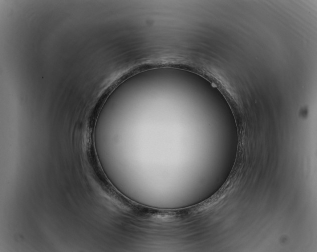 X0000100750164200806190831