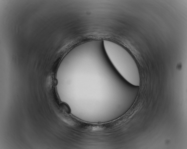 X0000100750165200806190831