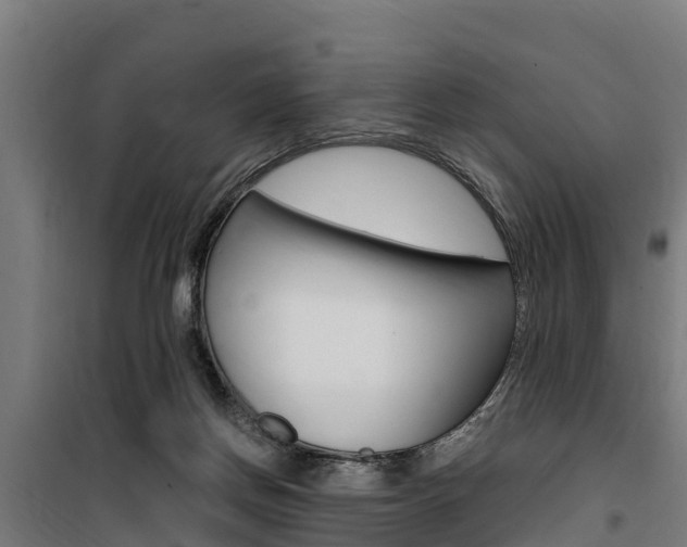 X0000100750166200806190832