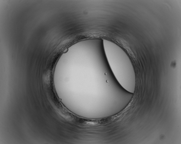 X0000100750167200806190832