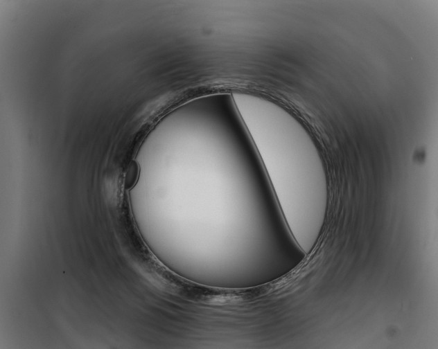 X0000100750168200806190832