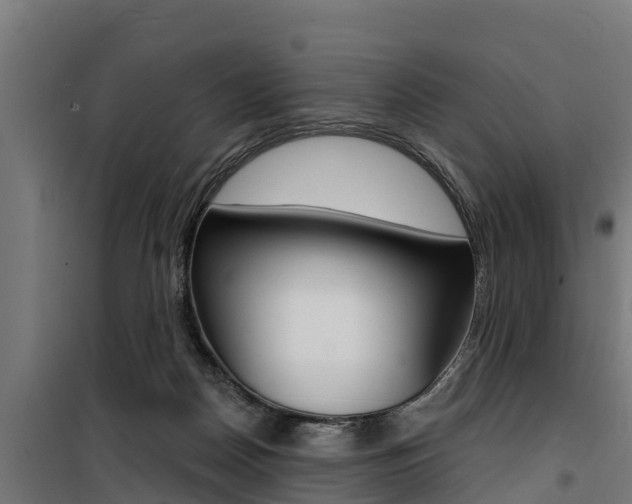 X0000100750170200806190832