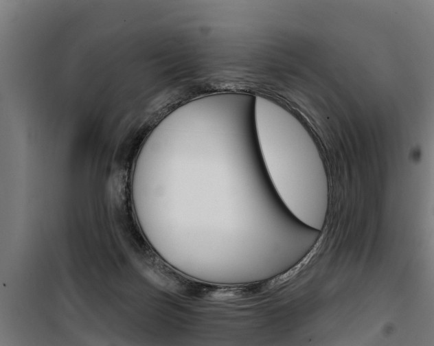 X0000100750171200806190832
