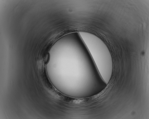 X0000100750172200806190832