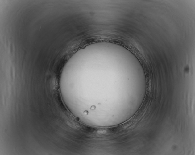 X0000100750173200806190832