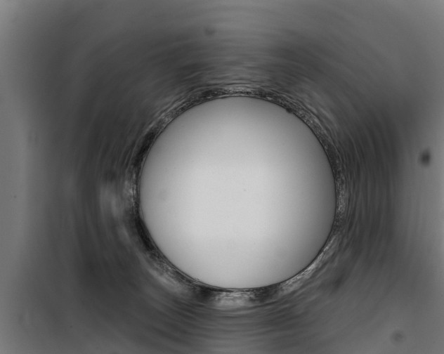 X0000100750179200806190832