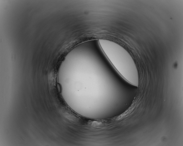 X0000100750180200806190832