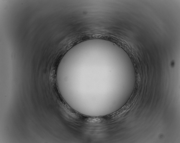 X0000100750181200806190832