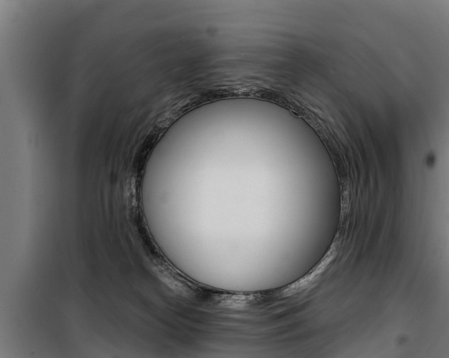 X0000100750182200806190832